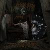 Notturno - Obsessions LP [Frozen Stars Variant]